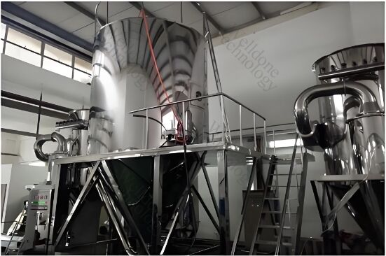 Environmental Friendly And Food Standard Spray Dryer For Whey Equipment