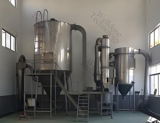 Máquina de secado por rocío SUS304 de alta eficiencia personalizada para polvo de detergente de proteína de suero